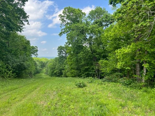 More Photos Of Harrison St / US HWY 69, Batesville Land For Sale