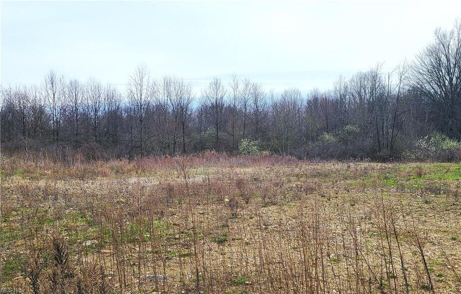 Primary Photo Of 38 McCartney Rd, Campbell Industrial For Sale