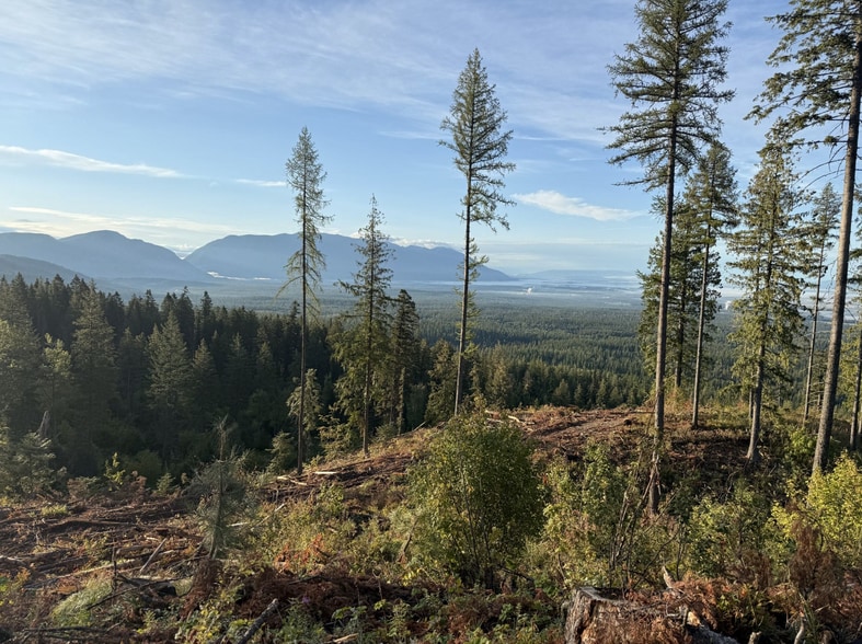 More Photos Of Legacy Timber & Recreaction Tract Near Lone Lake, Kalispell Land For Sale