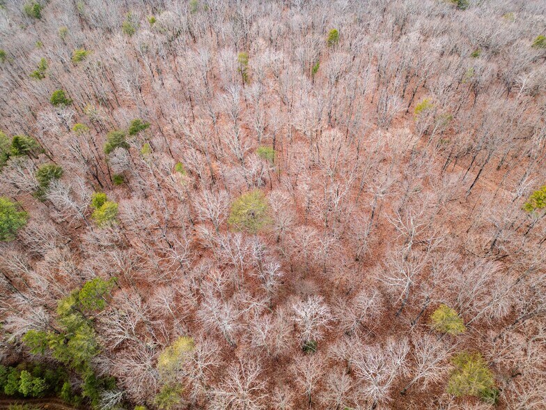 More Photos Of 762 Smith Mountain Rd, Dunlap Land For Sale