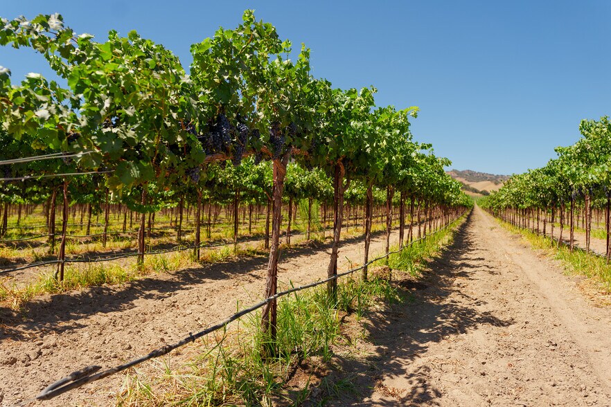 More Photos Of 63950 Bernardo Rd, San Ardo Land For Sale