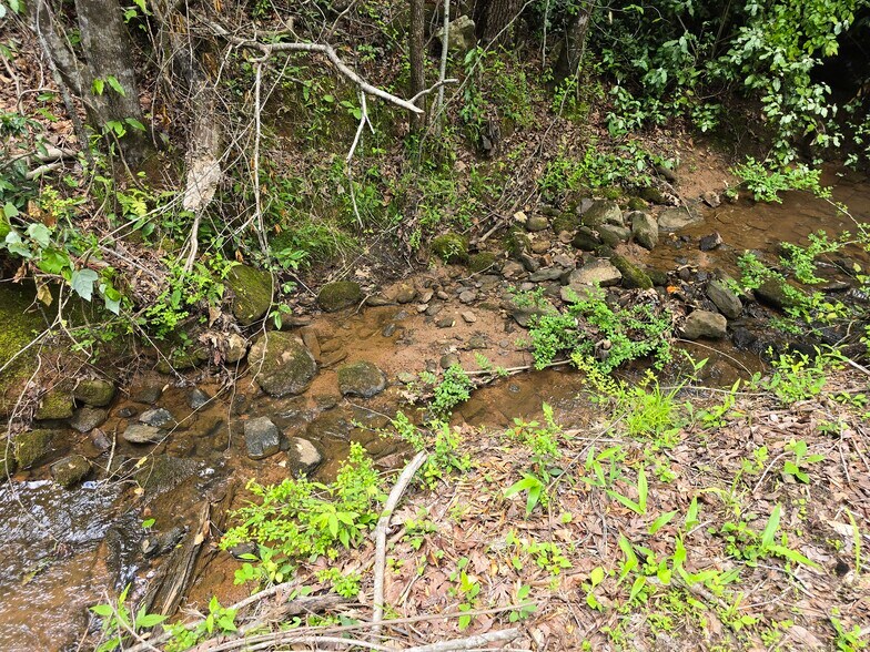 More Photos Of Davis Lake Rd @ Old Talbotton Rd, Thomaston Land For Sale