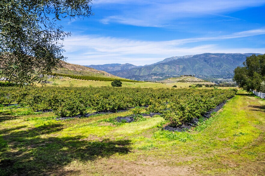 More Photos Of 14224 Old Cole Grade Rd, Pauma Valley Land For Sale