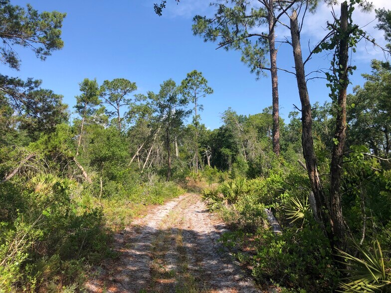 More Photos Of Highway 60 @ Walk in Water Rd., Lake Wales Land For Sale