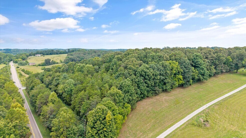 More Photos Of 00 Old Sugar Limb Rd, Loudon Land For Sale