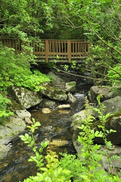 More Photos Of 1146 Cold Spring Rd, Williamstown Hotel For Sale