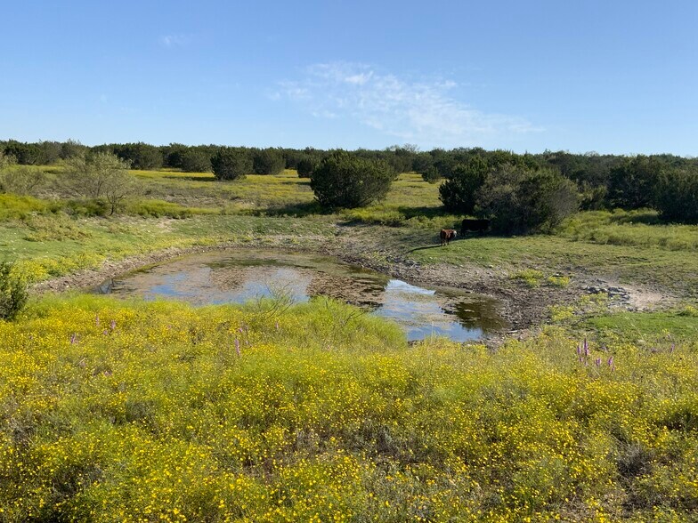 More Photos Of TBD County Road 396, Carlton Land For Sale