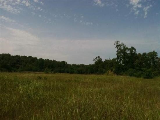 More Photos Of River Terminal Rd, Natchez Land For Sale