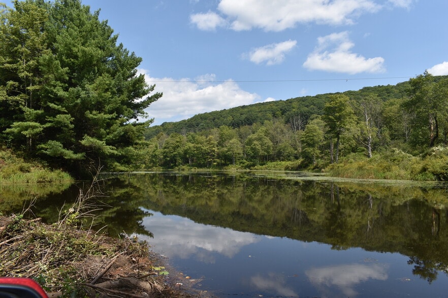 More Photos Of 2276 Old Route 17, Windsor Township Specialty For Sale