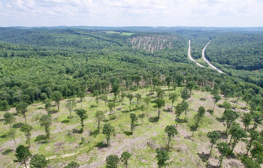 More Photos Of 4000 Sulgar Rd, Brookville Land For Sale