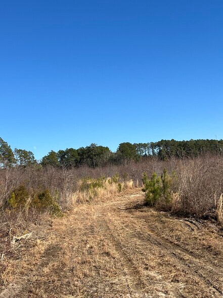 More Photos Of TBD South Carolina 38 Hwy, Bennettsville Land For Sale