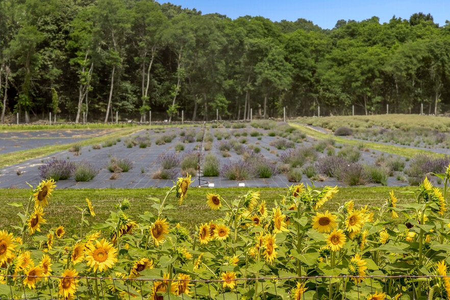 More Photos Of 3360 Sound Ave, Riverhead Land For Sale