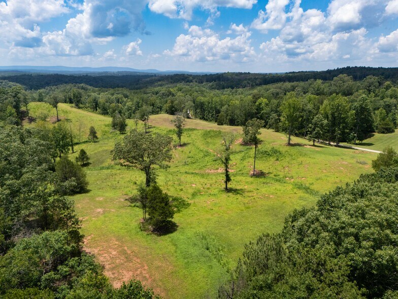 More Photos Of 1310 County Road 269, Wedowee Land For Sale
