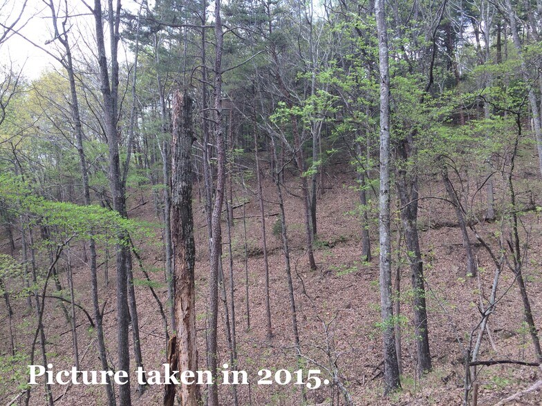 More Photos Of Pinyan, Ranger Land For Sale