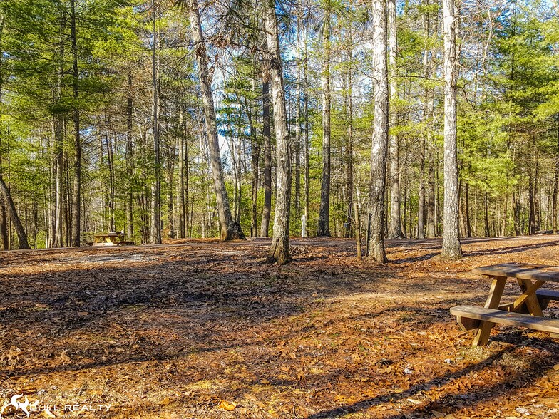 More Photos Of 1 Shumate Falls, Rich Creek Land For Sale
