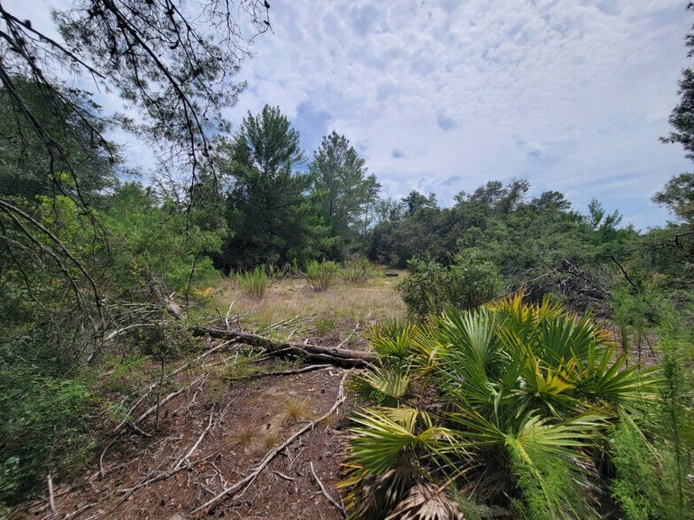 More Photos Of Oak & Cypress Rd, Ocala Land For Sale