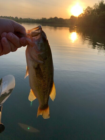 More Photos Of 340 Central Ave, Carlisle Marina For Sale