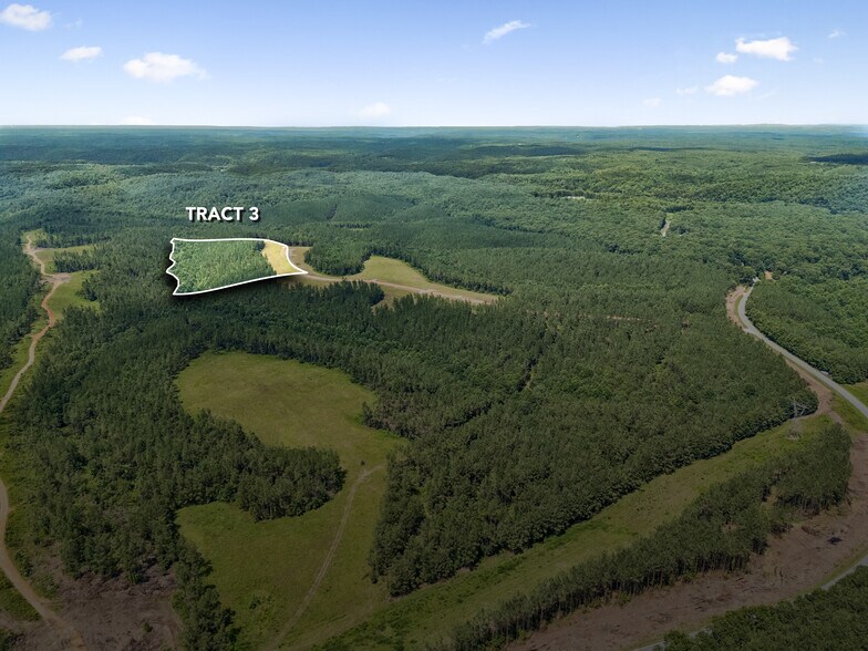 More Photos Of 1420 Big Swan Creek Rd, Summertown Land For Sale