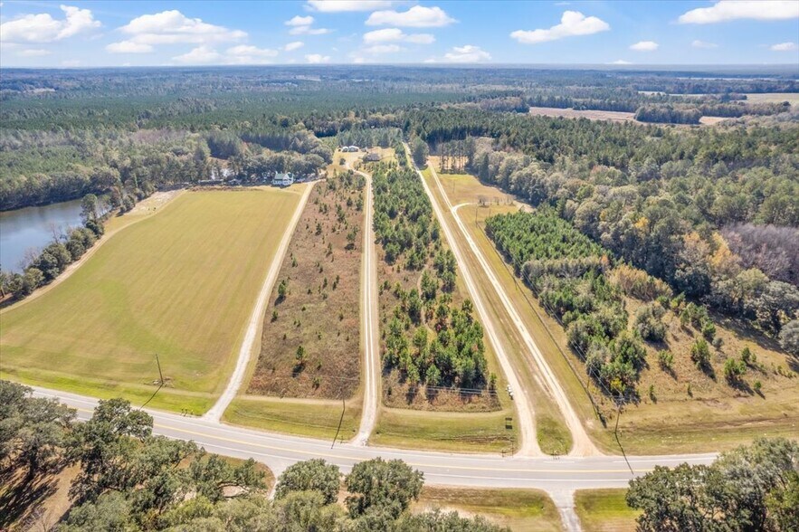 Primary Photo Of 7458 Highway 119 S, Ellabell Land For Sale