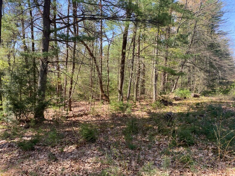 More Photos Of 100 Pequot Rd, Southampton Land For Sale