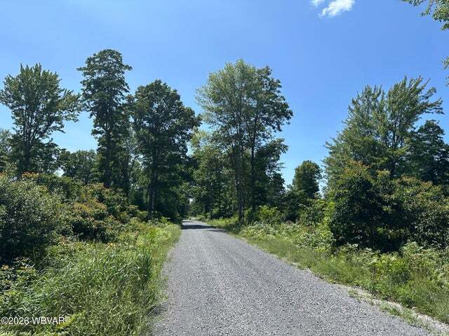 More Photos Of Beech Creek Mountain Rd, Beech Creek Land For Sale