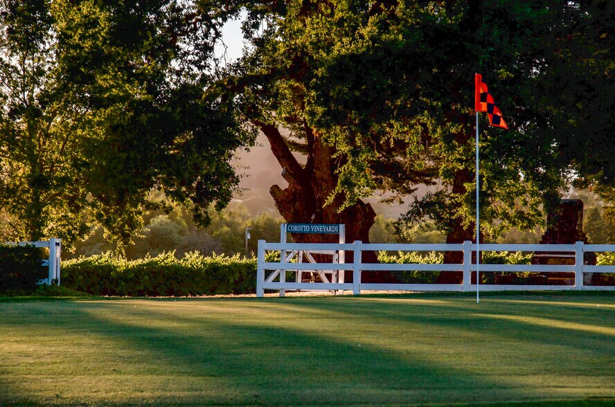 More Photos Of 1129 Dealy Ln, Napa Winery Vineyard For Sale