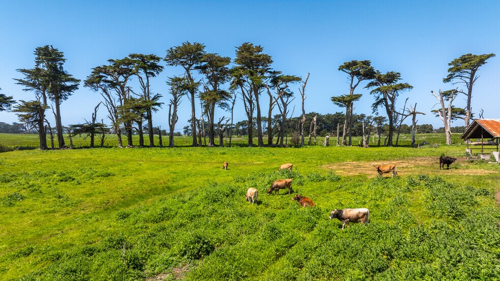 More Photos Of 21601 S Highway 1, Point Arena Land For Sale