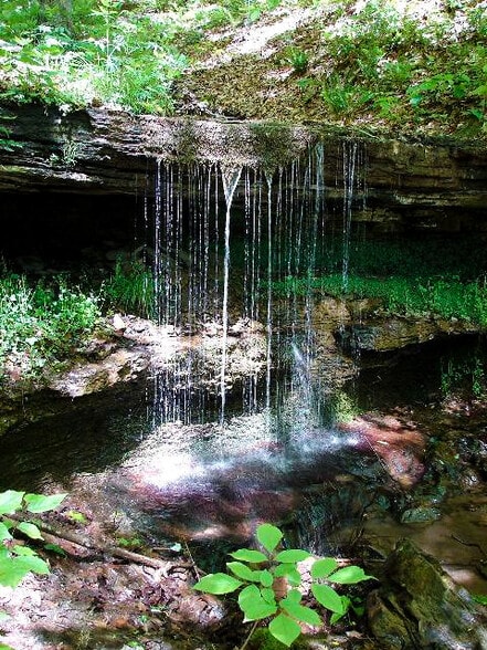 More Photos Of Songbird Ln, Green Sulphur Springs Land For Sale
