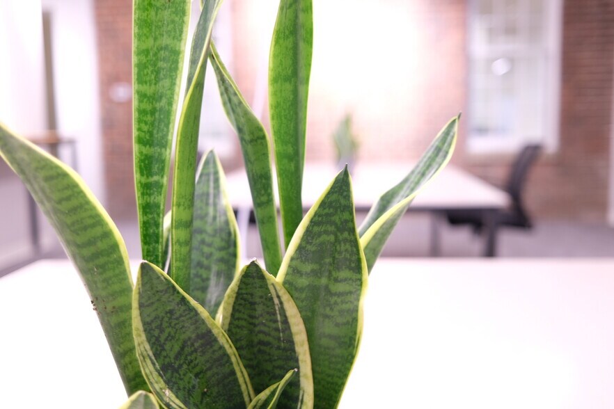 More Photos Of 300 E Main St, Charlottesville Coworking Space