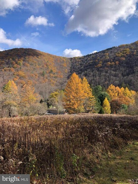 More Photos Of 1226-1227 Cross Fork Creek Rd, Cross Fork Land For Sale