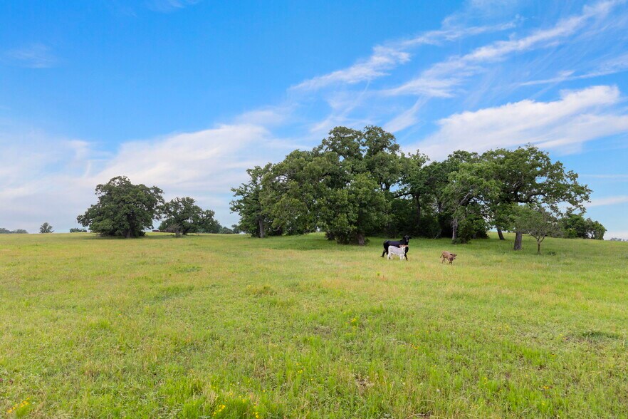 More Photos Of 1574 Highway 30, Anderson Land For Sale