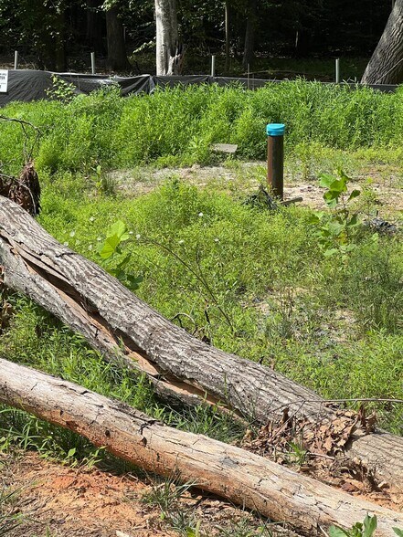 More Photos Of 7114 Wolf Den Rd, Fairfax Station Land For Sale