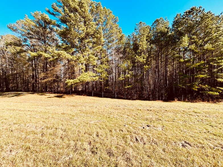 More Photos Of MS Highway 12, Durant Land For Sale