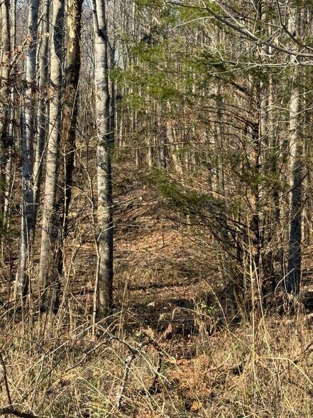 More Photos Of 4604 Summersville Rd, Campbellsville Land For Sale