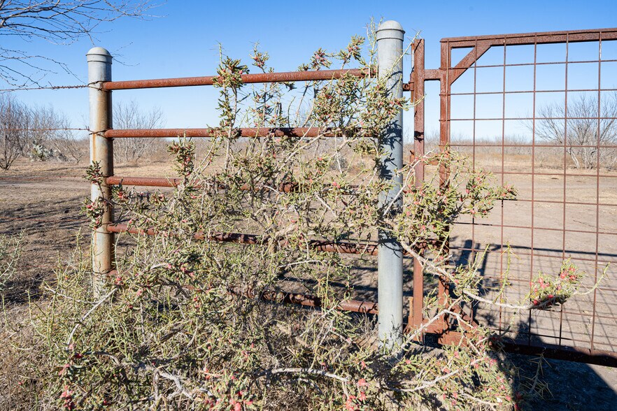 More Photos Of TBD Richards Dr, Del Valle Land For Sale