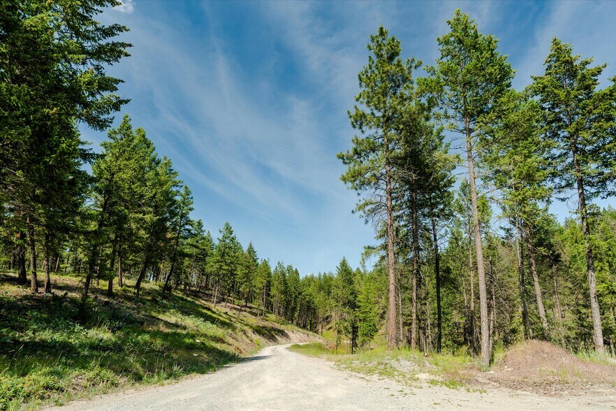 More Photos Of 327 Stone Mountain Rd, Rexford Land For Sale