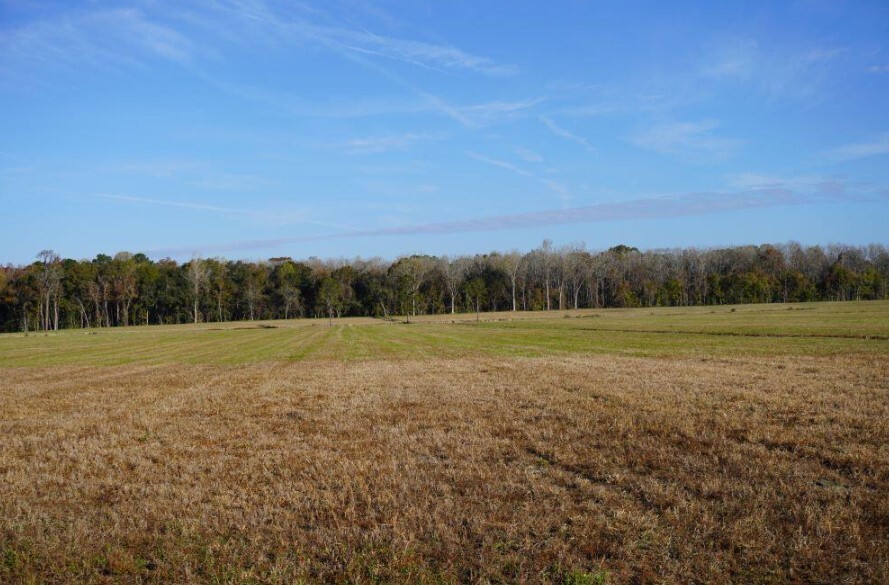 Primary Photo Of 2066 Rackity Hall Rd, Wadmalaw Island Land For Sale