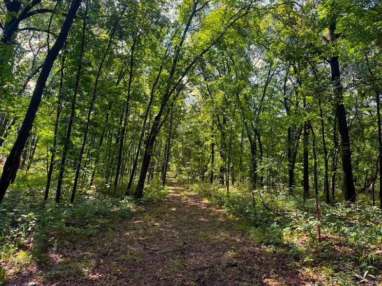 More Photos Of 17688 Golden Rd, Linwood Land For Sale