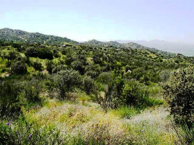 More Photos Of Nuevo Rd, Nuevo Land For Sale