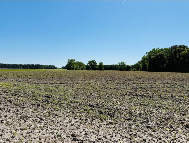 More Photos Of 0 HWY 117, Rose Hill Land For Sale