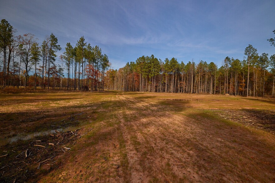 More Photos Of 480 Martin Rd, Cotton Valley Land For Sale