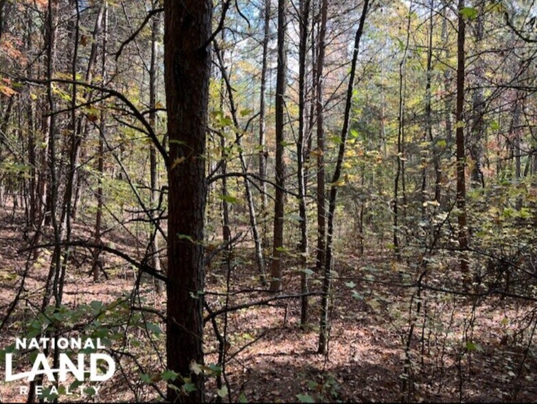 More Photos Of 01 Lincoln Village Drive, Statesville Land For Sale