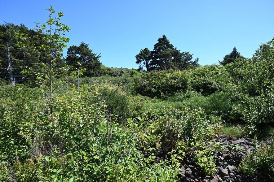 More Photos Of 400 Highway 101, Rockaway Beach Land For Sale