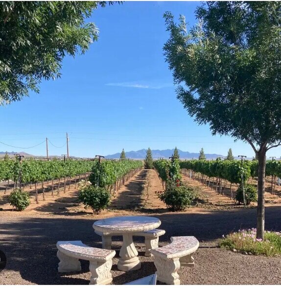 More Photos Of 6927 E Brooks Blvd, Kingman Winery Vineyard For Sale
