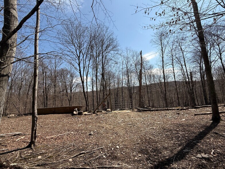 More Photos Of 127 Blum Rd, Equinunk Land For Sale
