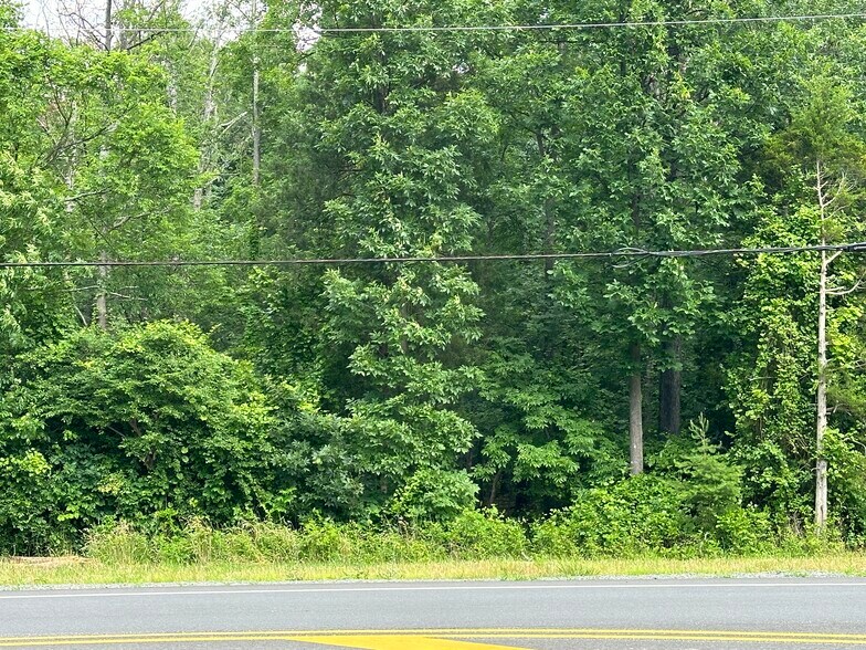 More Photos Of 7503 James Madison hwy, Gainesville Land For Sale