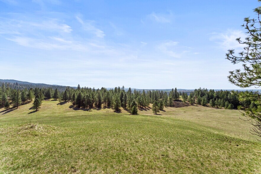 More Photos Of 15809 N Scribner Branch Rd, Spokane Land For Sale