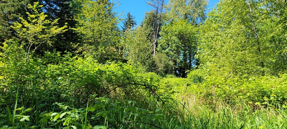 More Photos Of 825 99th Ave SE, Lake Stevens Land For Sale