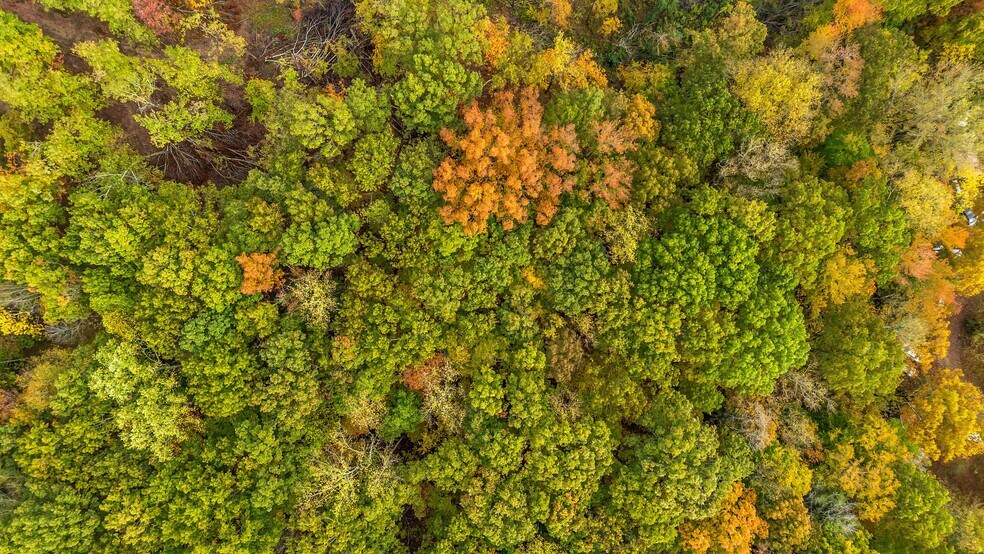 More Photos Of 4842 Highway 100, Lyles Restaurant For Lease