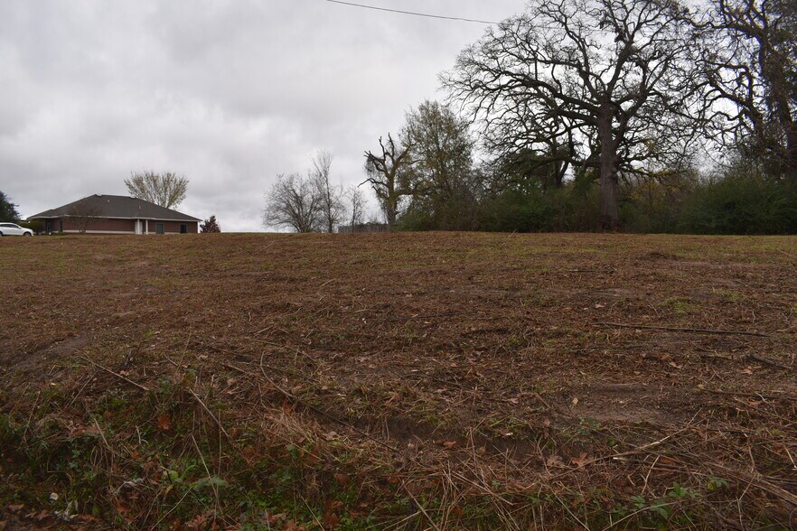 More Photos Of 2200 S Royall St, Palestine Land For Sale